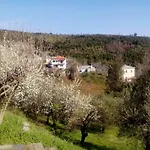 Semesterbostad Nightingale Pelion Kalamaki (Thessaly)
