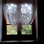 Nightingale Pelion Kalamaki (Thessaly)