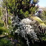 Holiday home Nightingale Pelion *