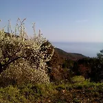 Nightingale Pelion
