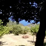 Nightingale Pelion Kalamaki (Thessaly)