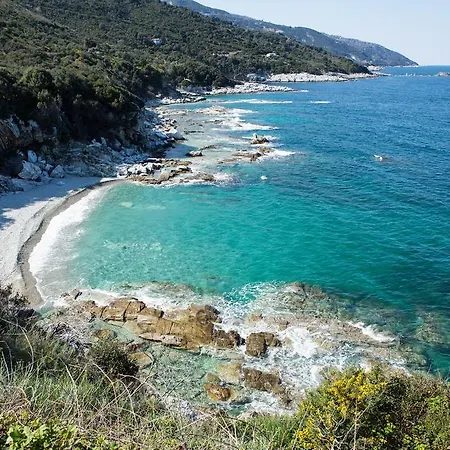 Nightingale Pelion Kalamaki