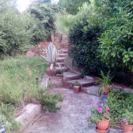 Nightingale Pelion * Kalamaki