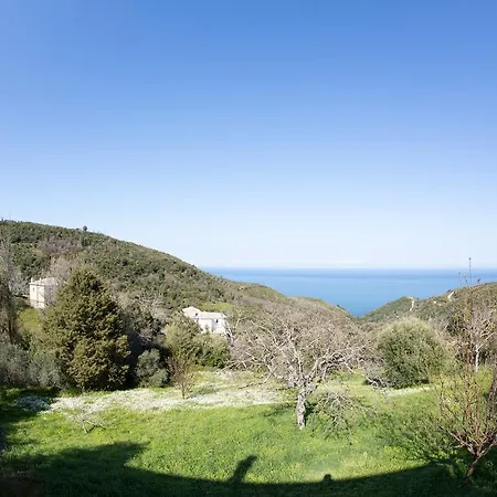 Tatil Evi Nightingale Pelion *