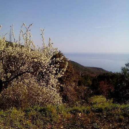 Nightingale Pelion