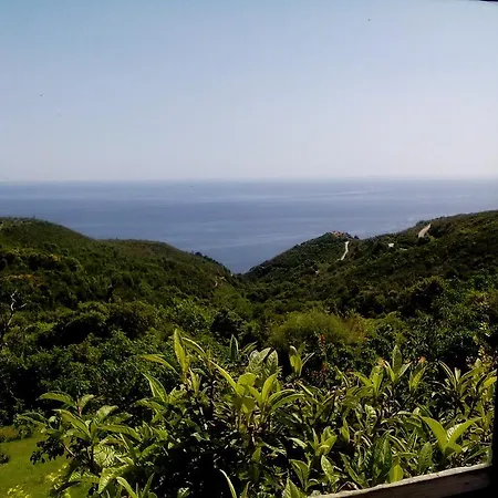 別荘 Nightingale Pelion Kalamaki