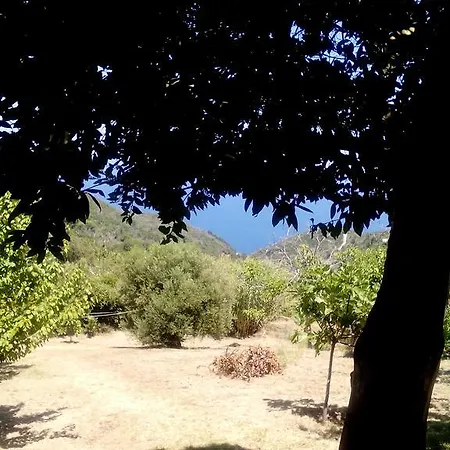 Nightingale Pelion Kalamaki