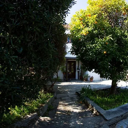 Nightingale Pelion *