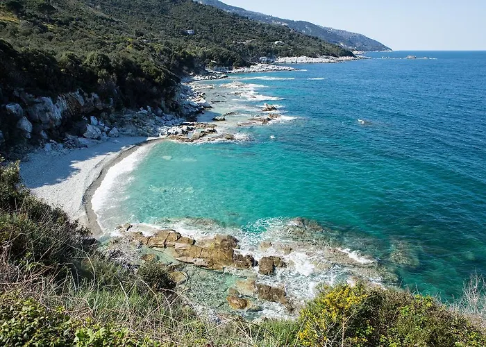 Nightingale Pelion Kalamaki (Thessaly)